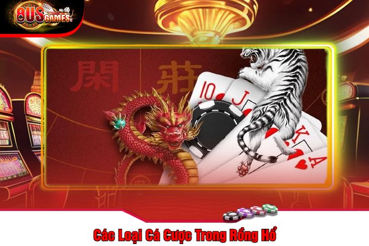 Các Loại Cá Cược Trong Rồng Hổ